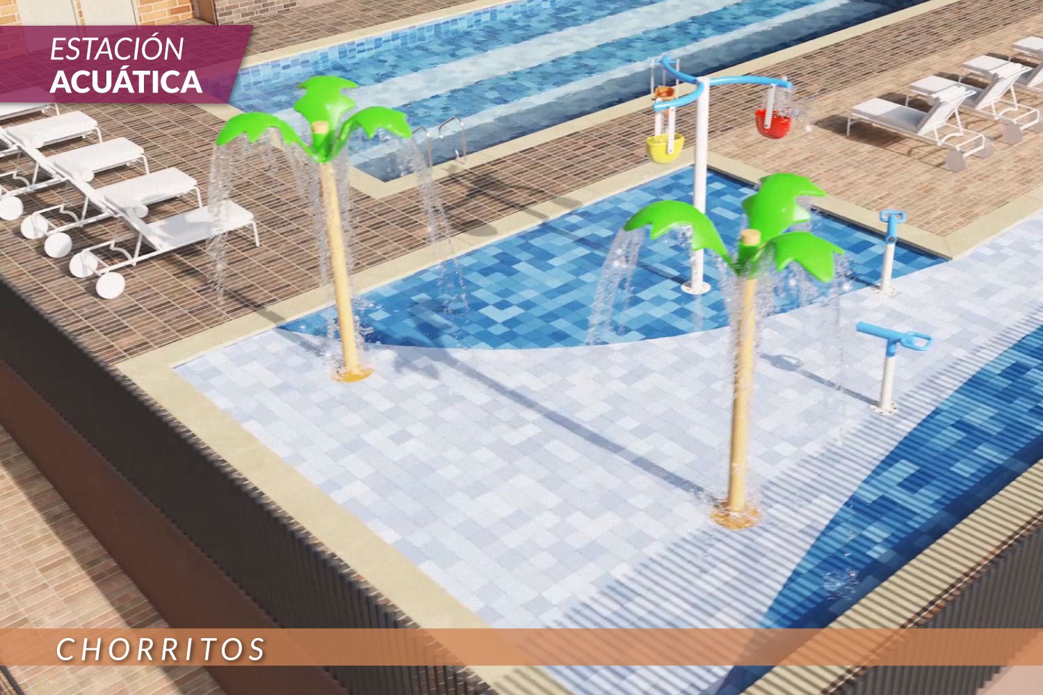 Imagen 11