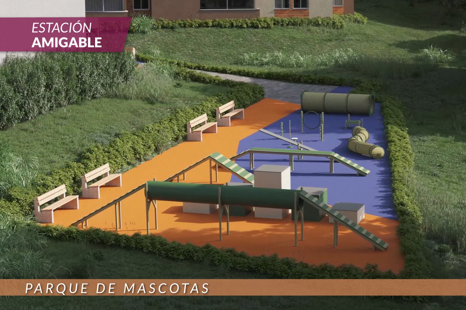 Imagen 12