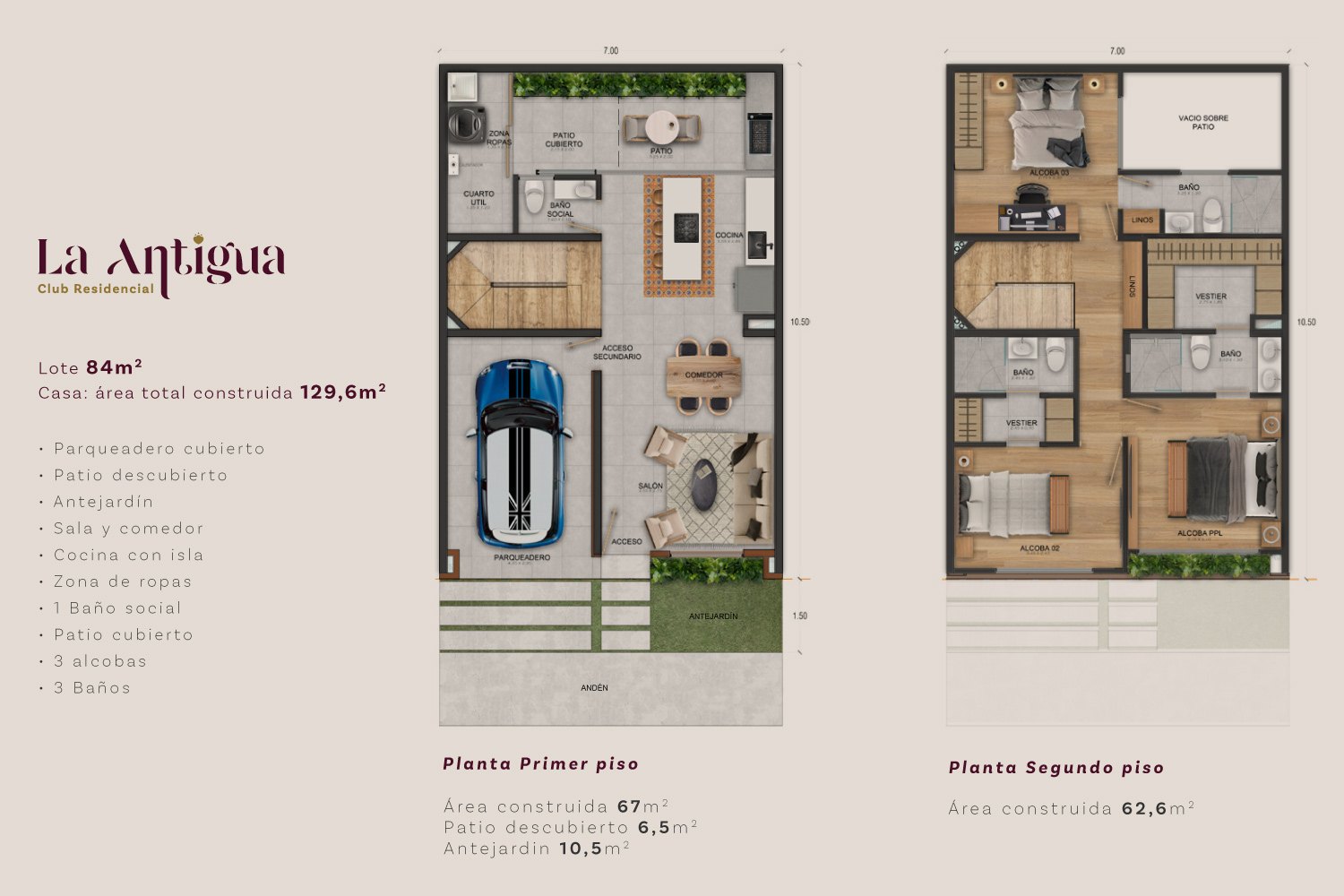 Imagen 11