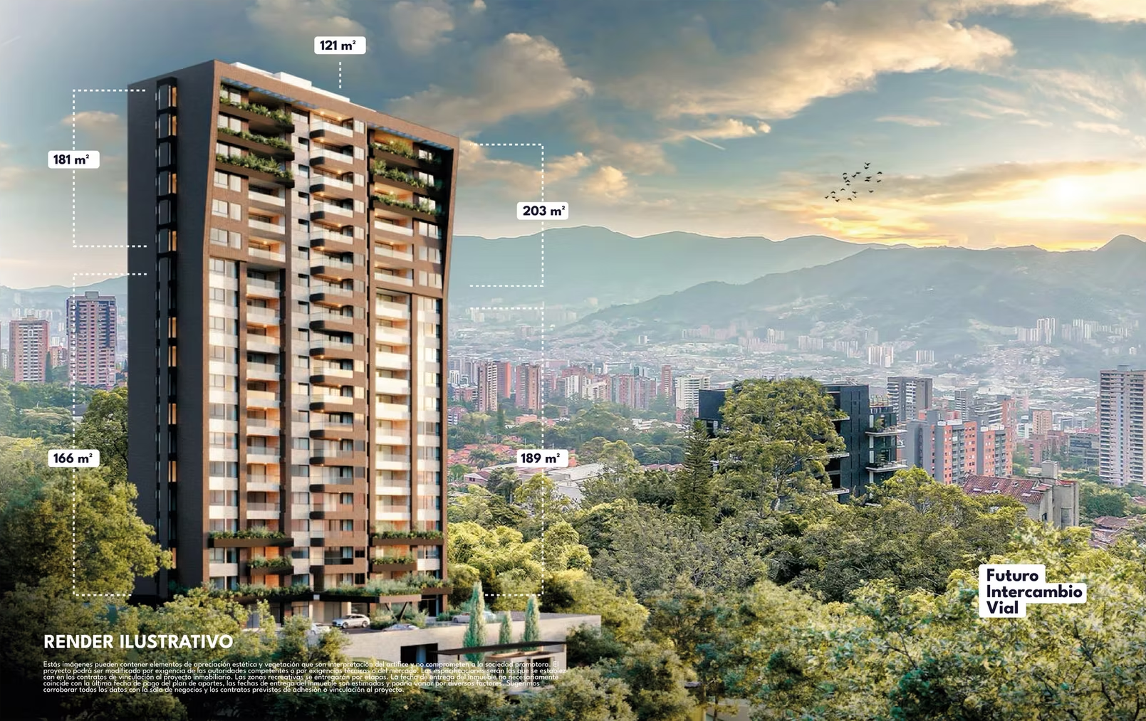 Imagen 10